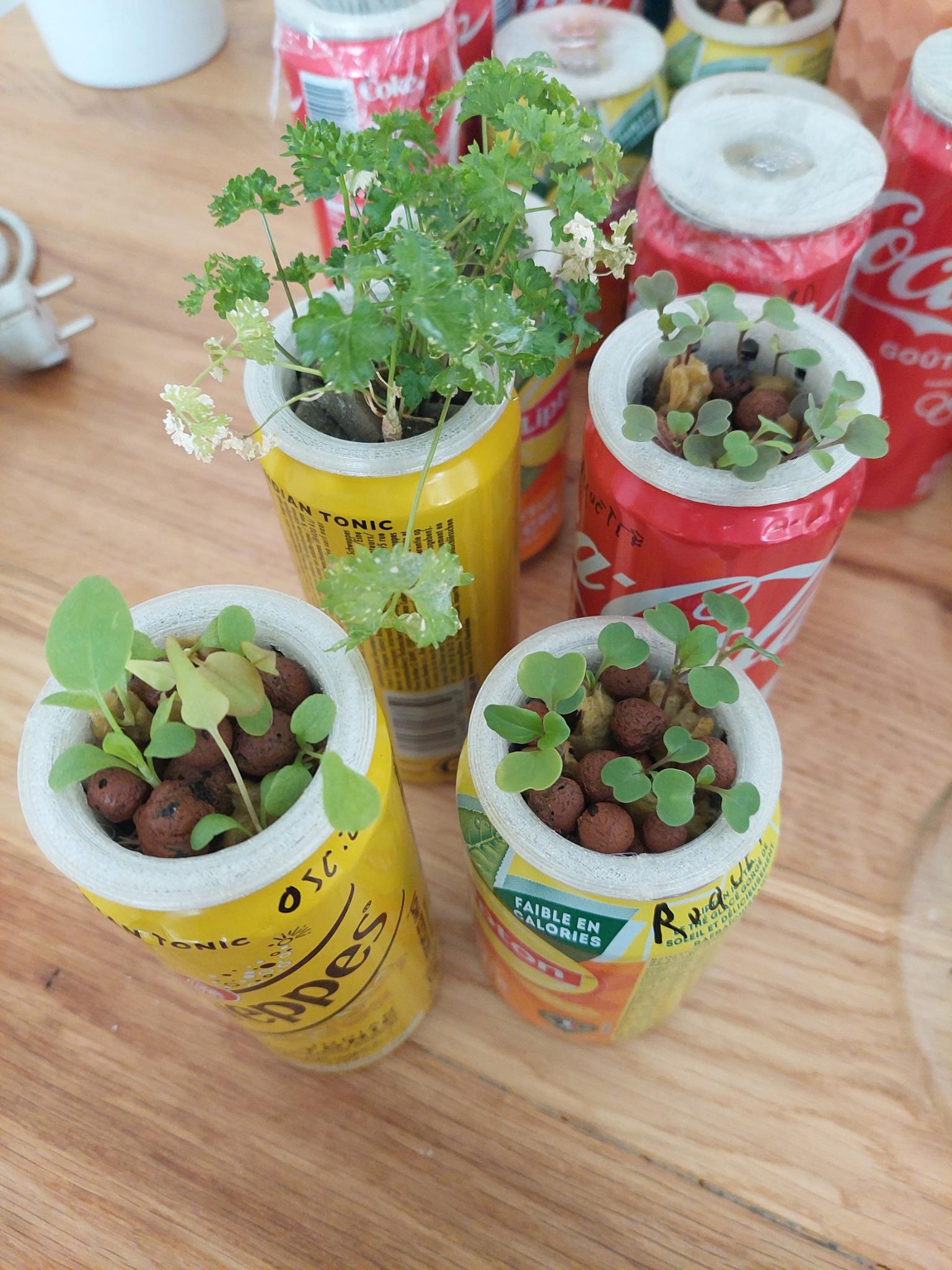 Hydroponic baskets for soda can #Kratky