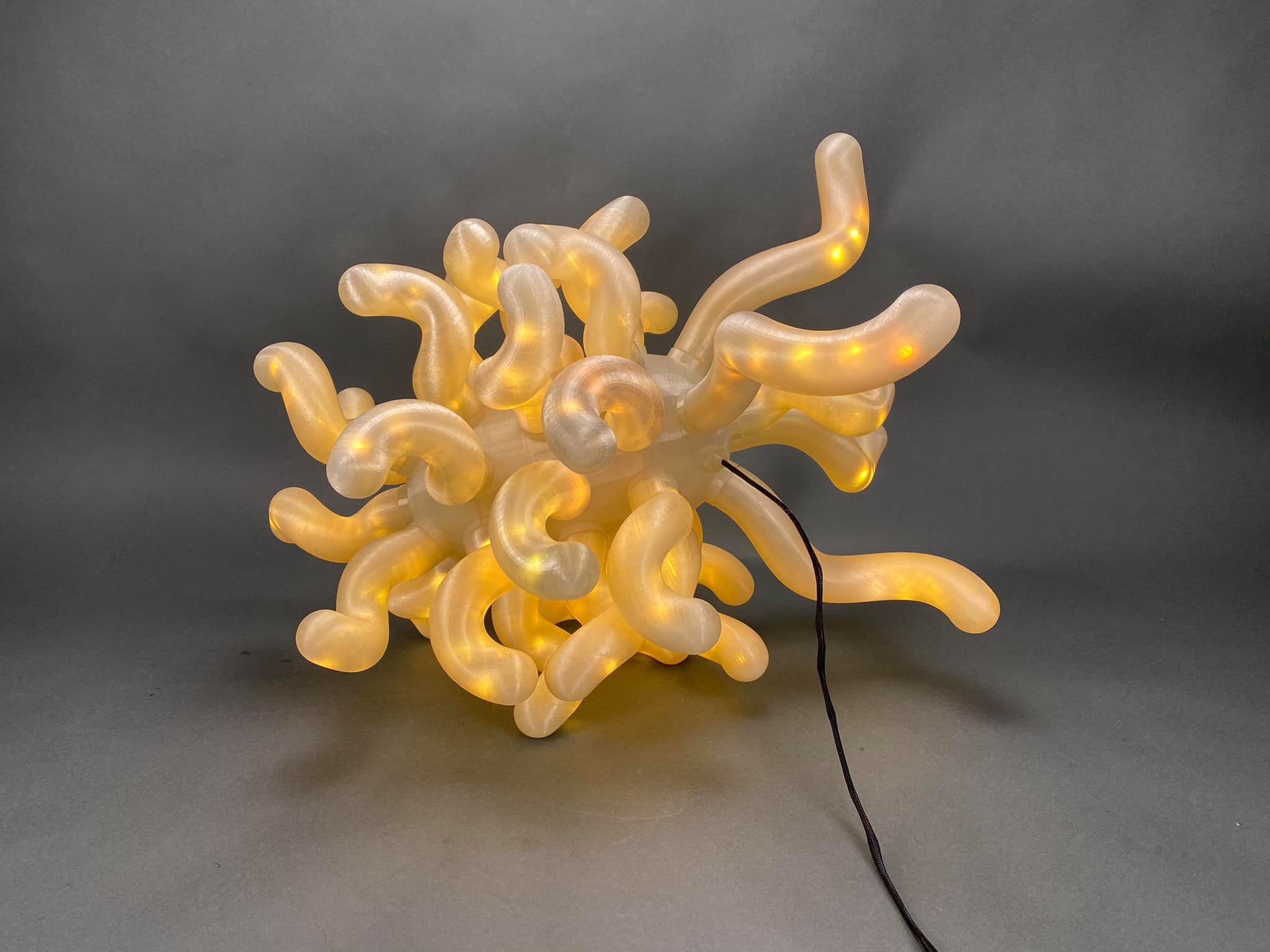Miniatura 4 do modelo 3D E. Coli Led Lamp