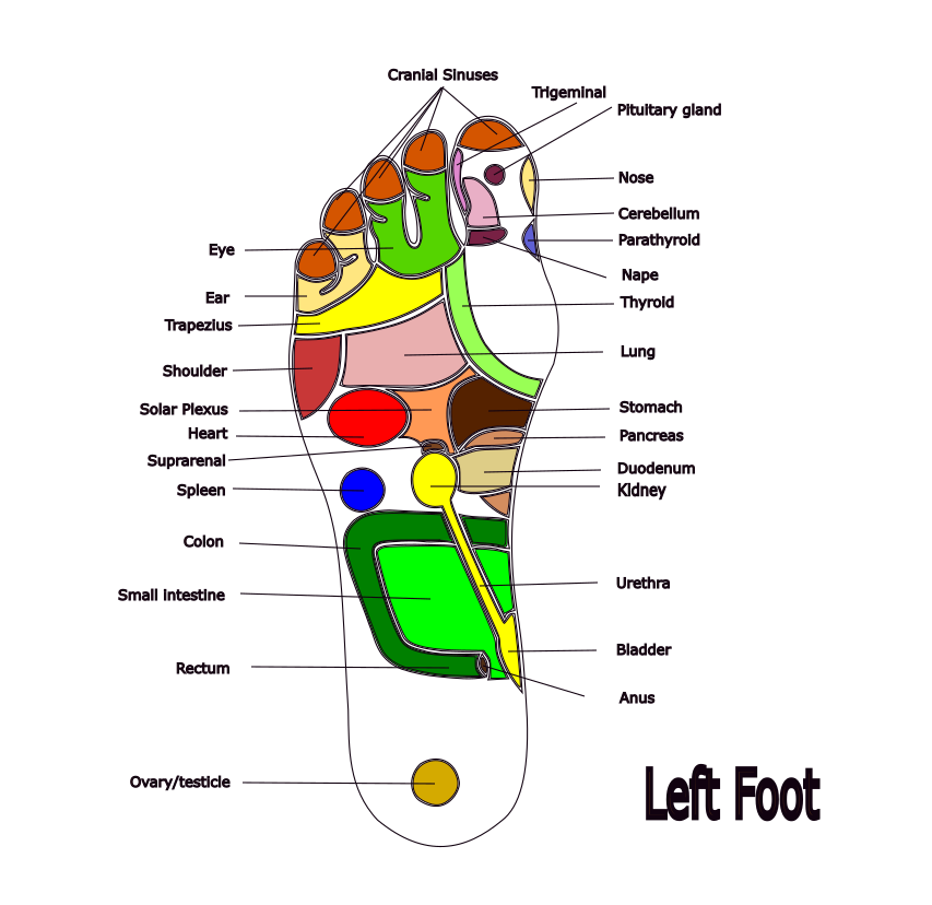 Foot Reflexology