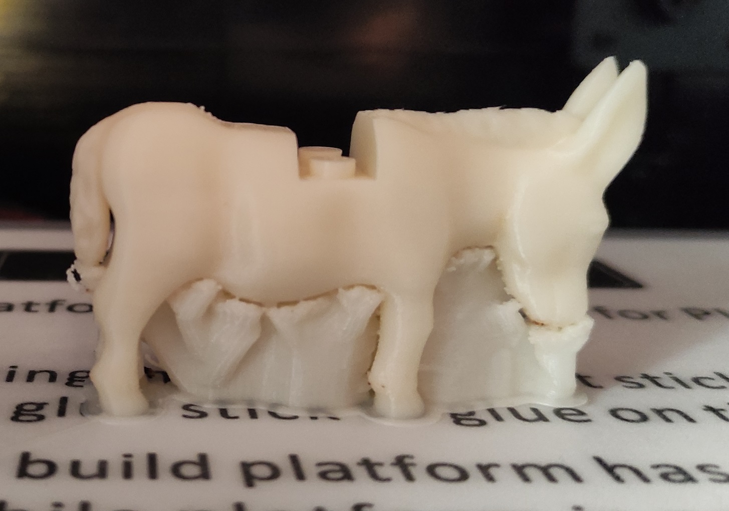 Miniatura 5 do modelo 3D donkey