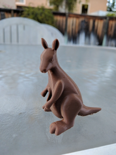 Kangaroo USB and Micro SD Holder