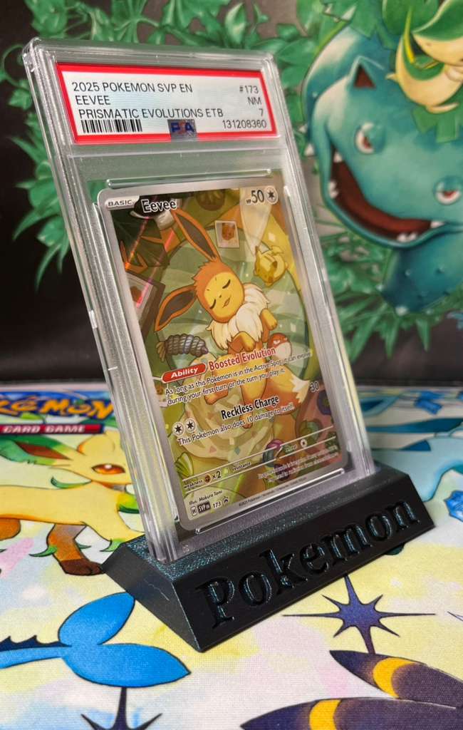 PSA Slab Holder