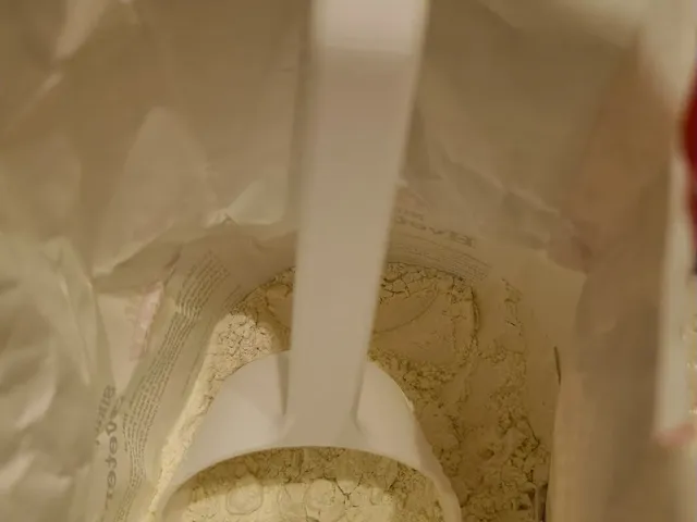 Flour scoops