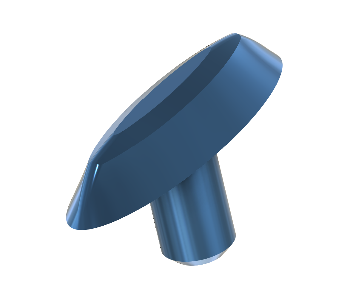 Shoe Stretcher Plug