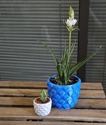 Diamond Pattern Plant Pot