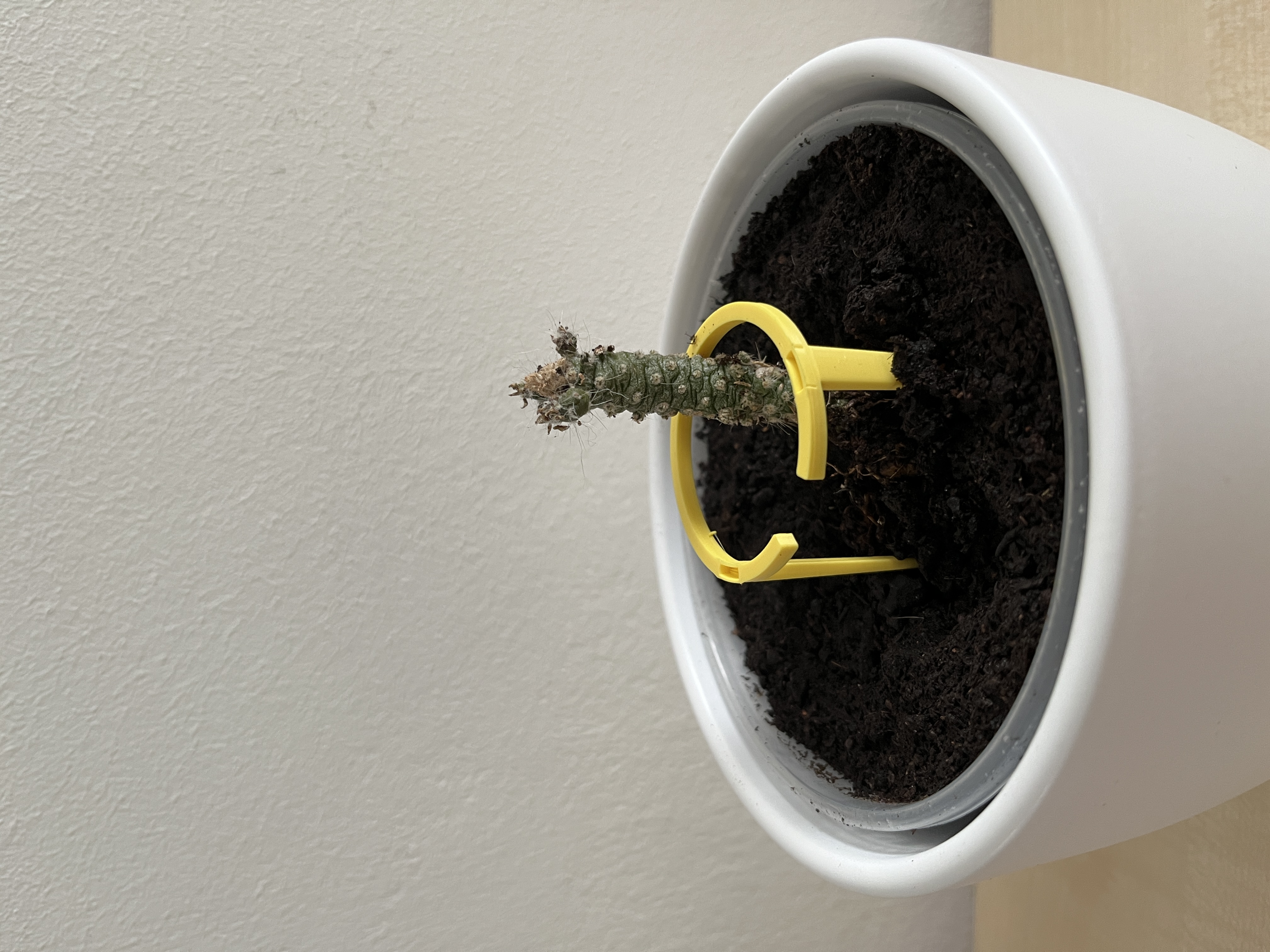 Stackable plant support