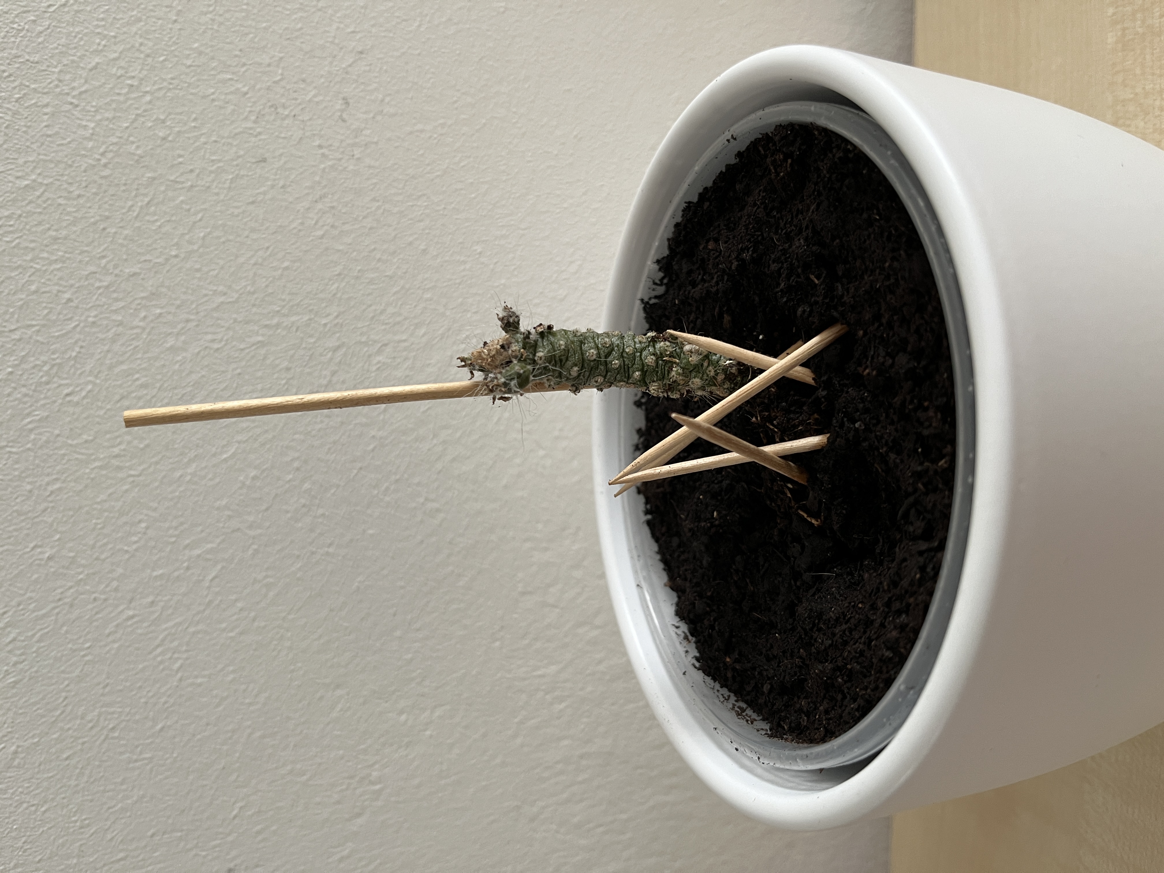 Miniatura 3 do modelo 3D Stackable plant support