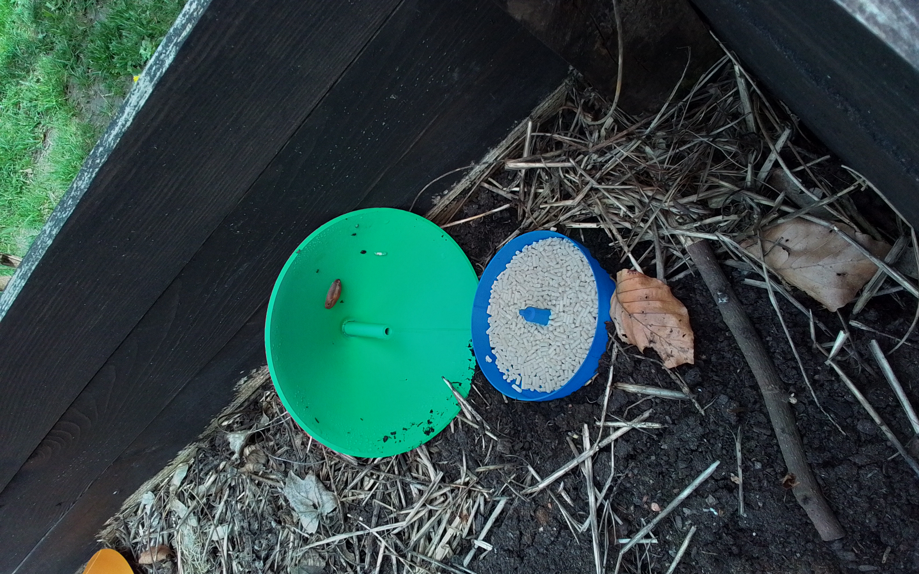 Schneckenfalle /  snail trap