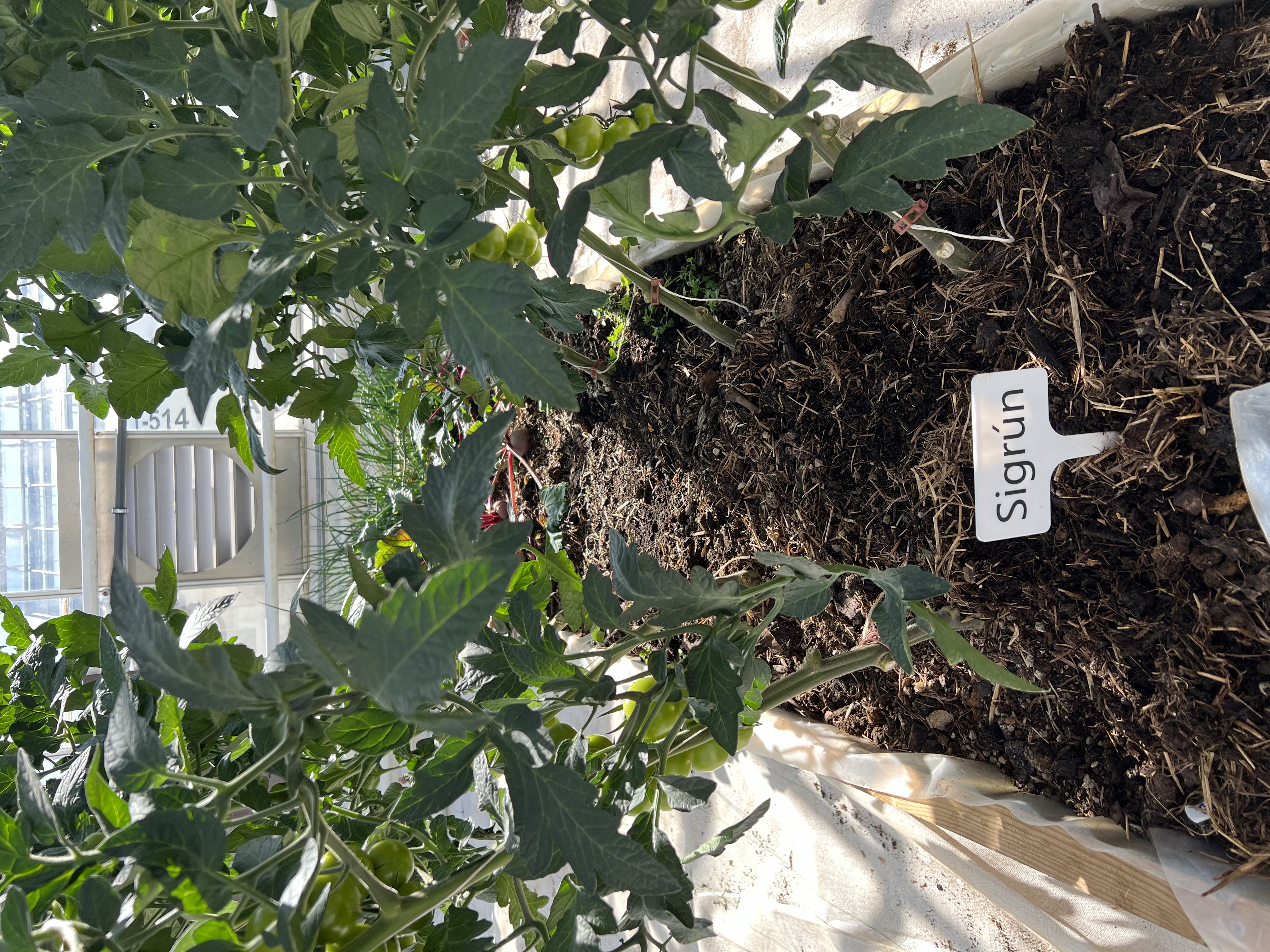 Simple sign for potted plants and gardening