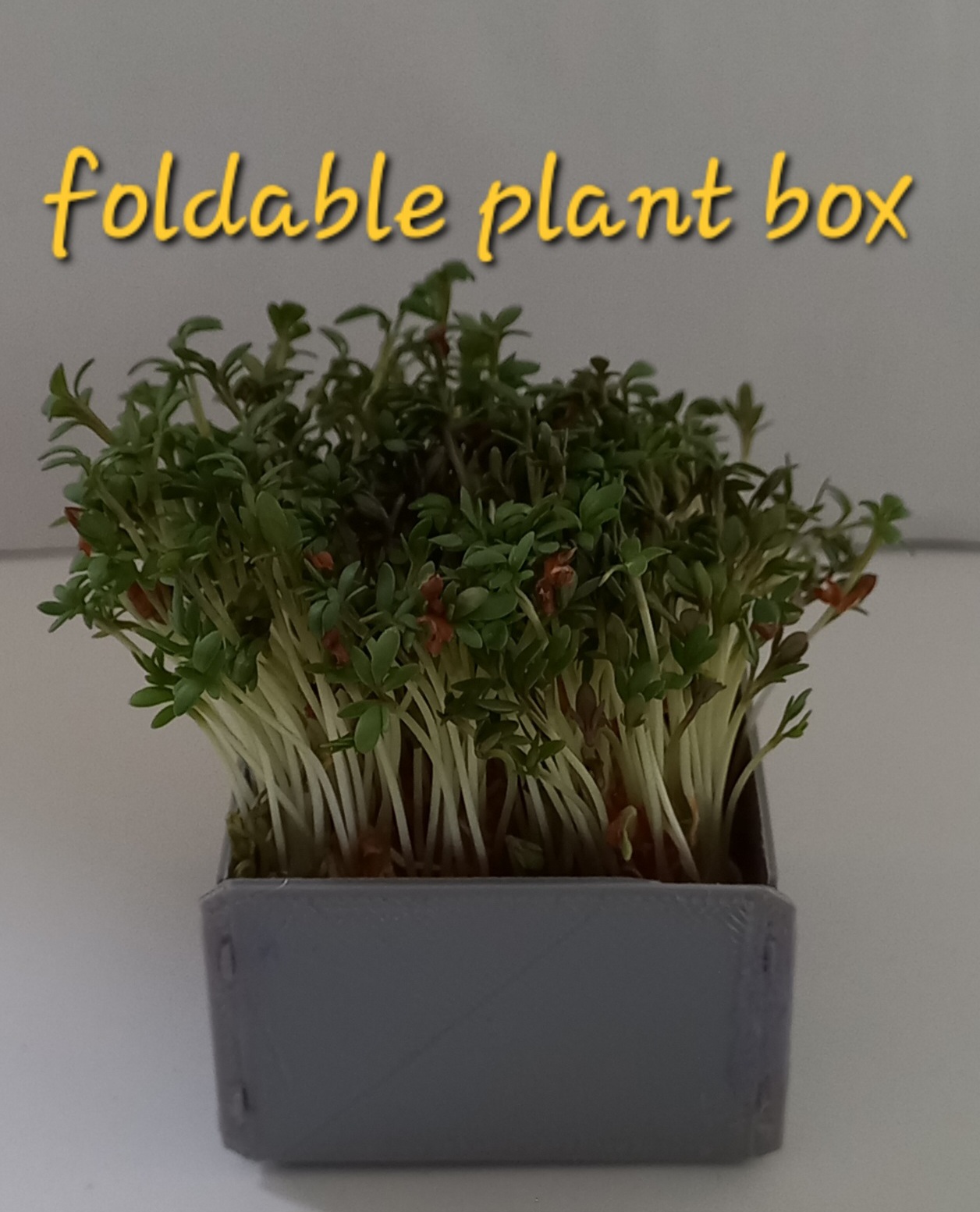 foldable plant box (kitcard)