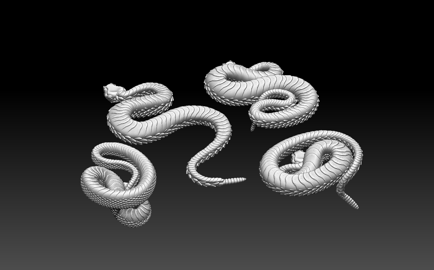 snakes — miniatura 21