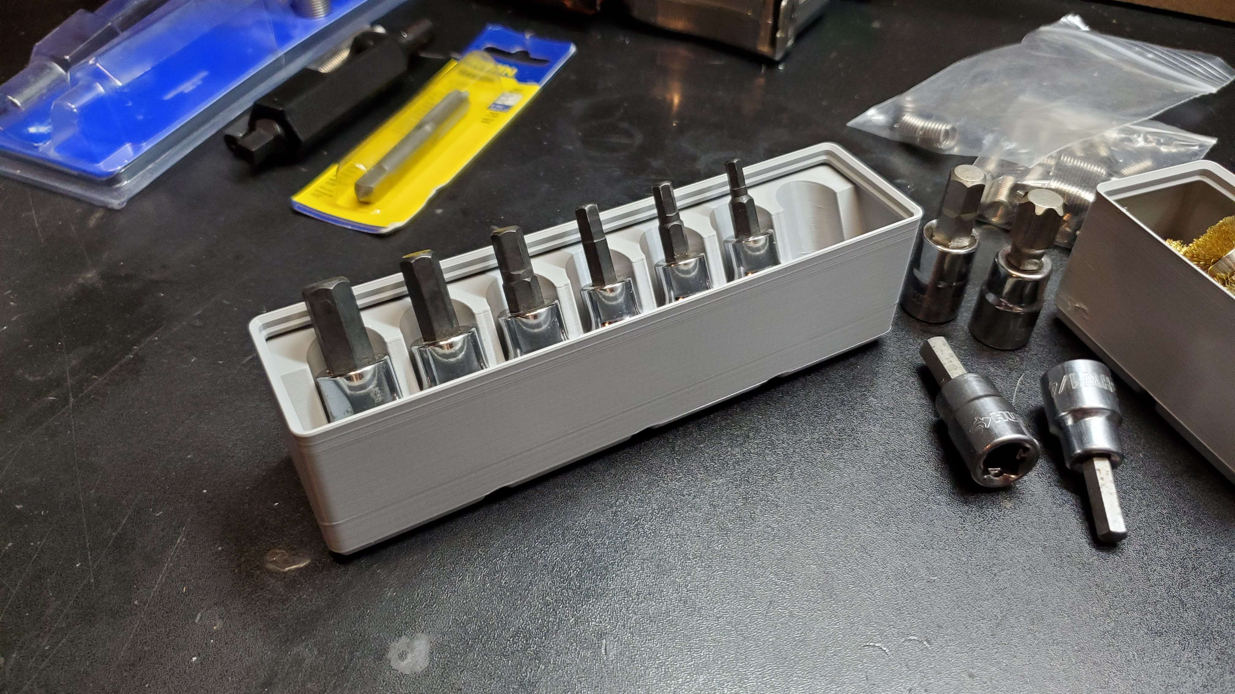 Gridfinity Universal Allen/Torx Socket Holder