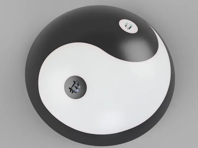 Yin Yang of Bitcoin