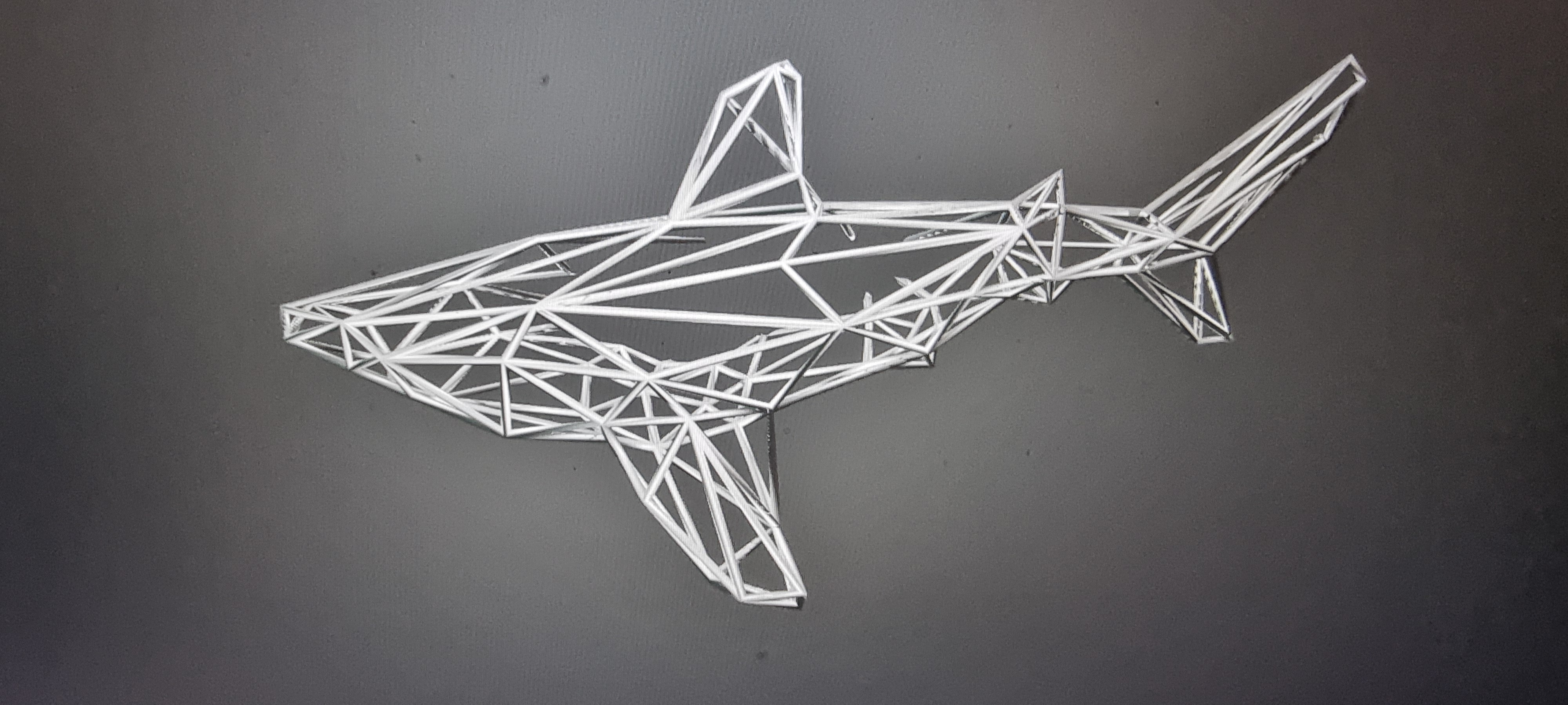 Shark wireframe decor