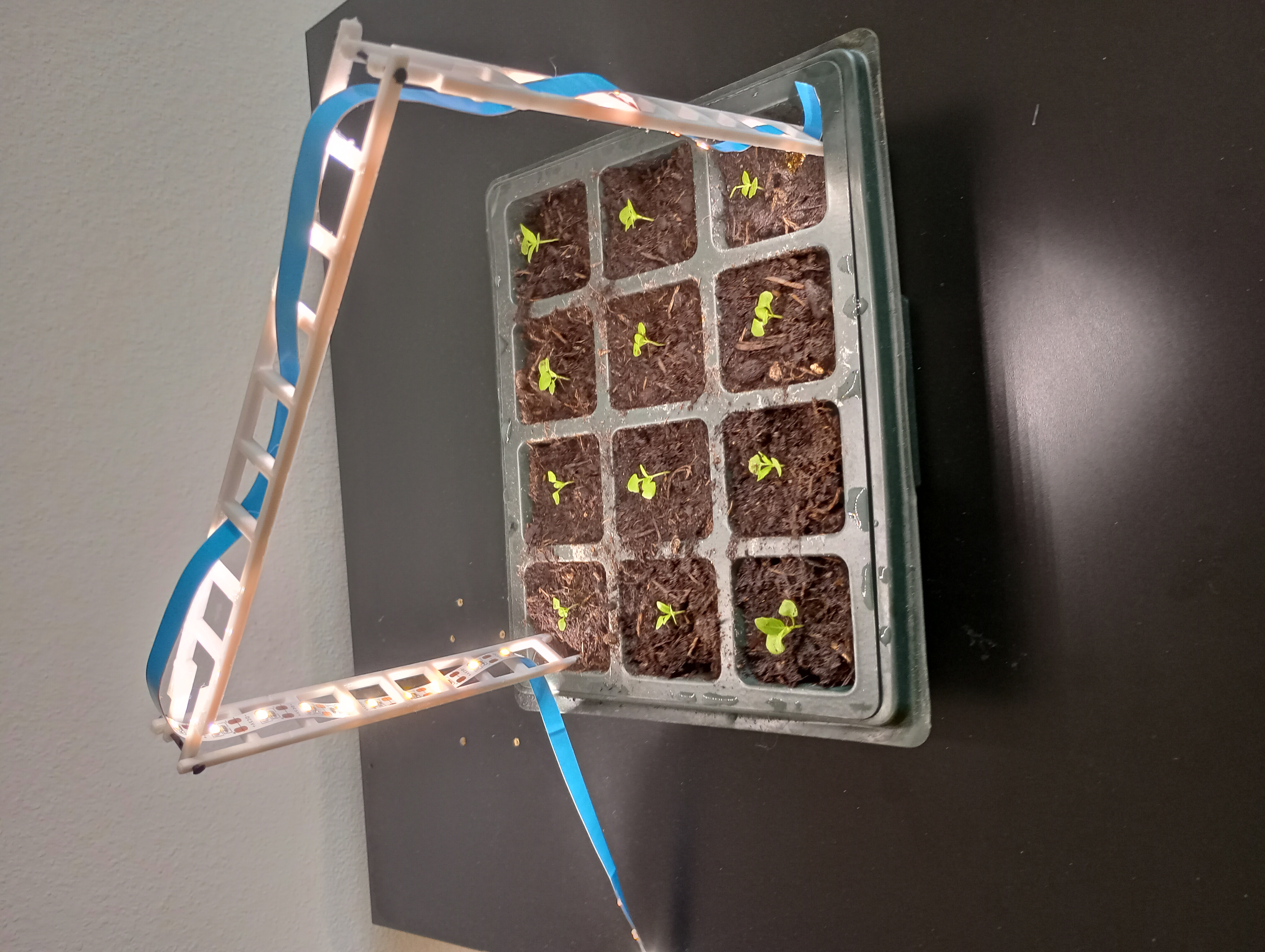 Modular LED strip scaffolding for plant grow lights