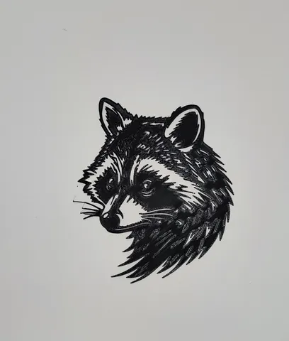 Racoon