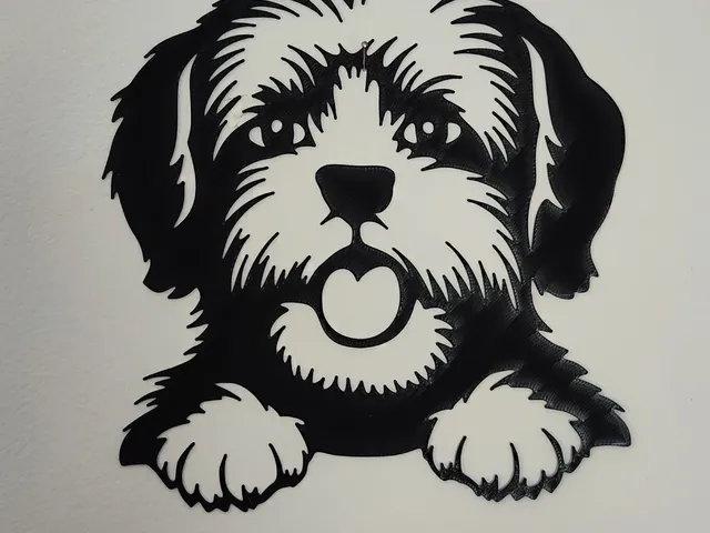Shih-TZU