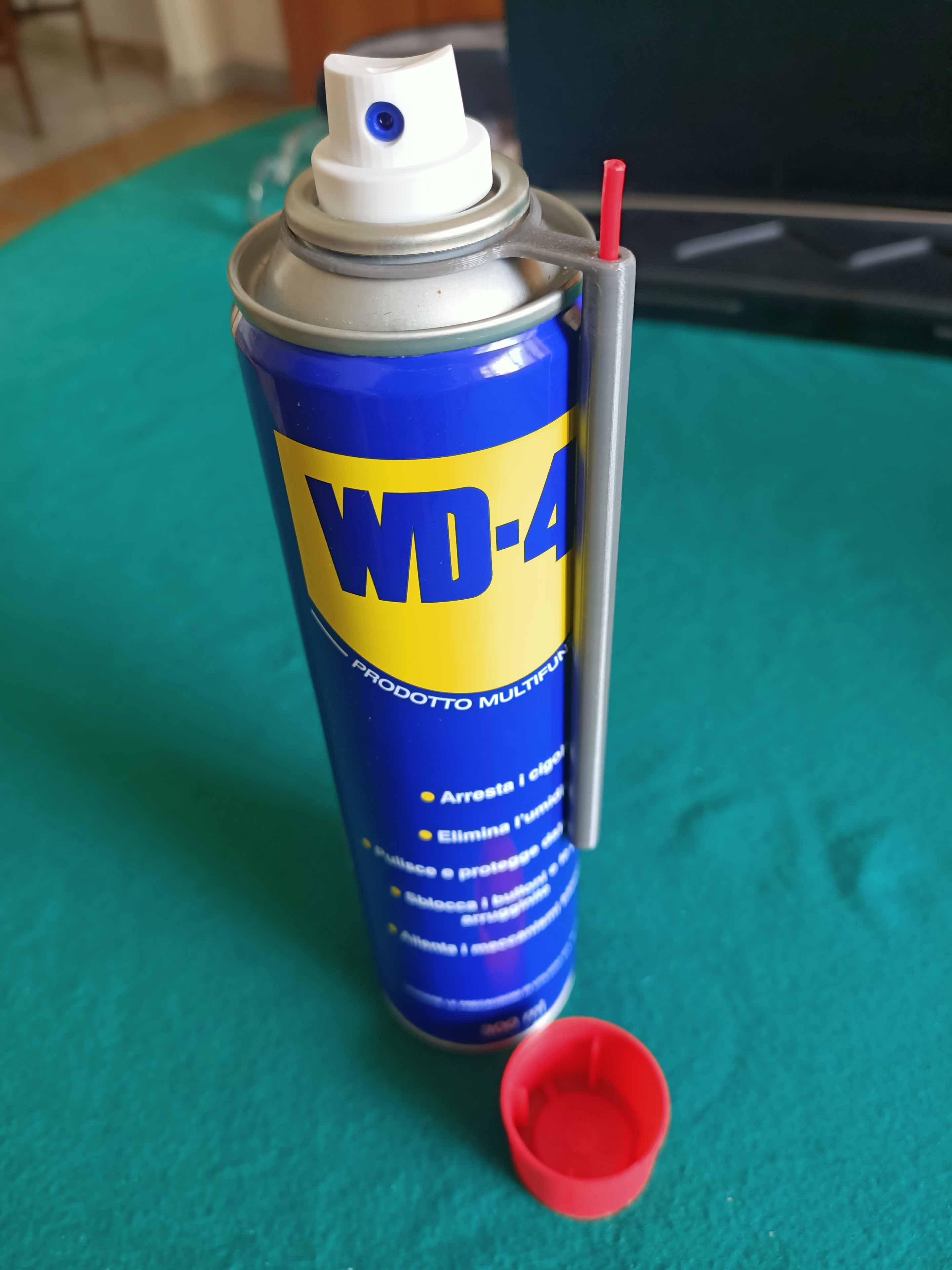 Save Cannula for lubricant cans