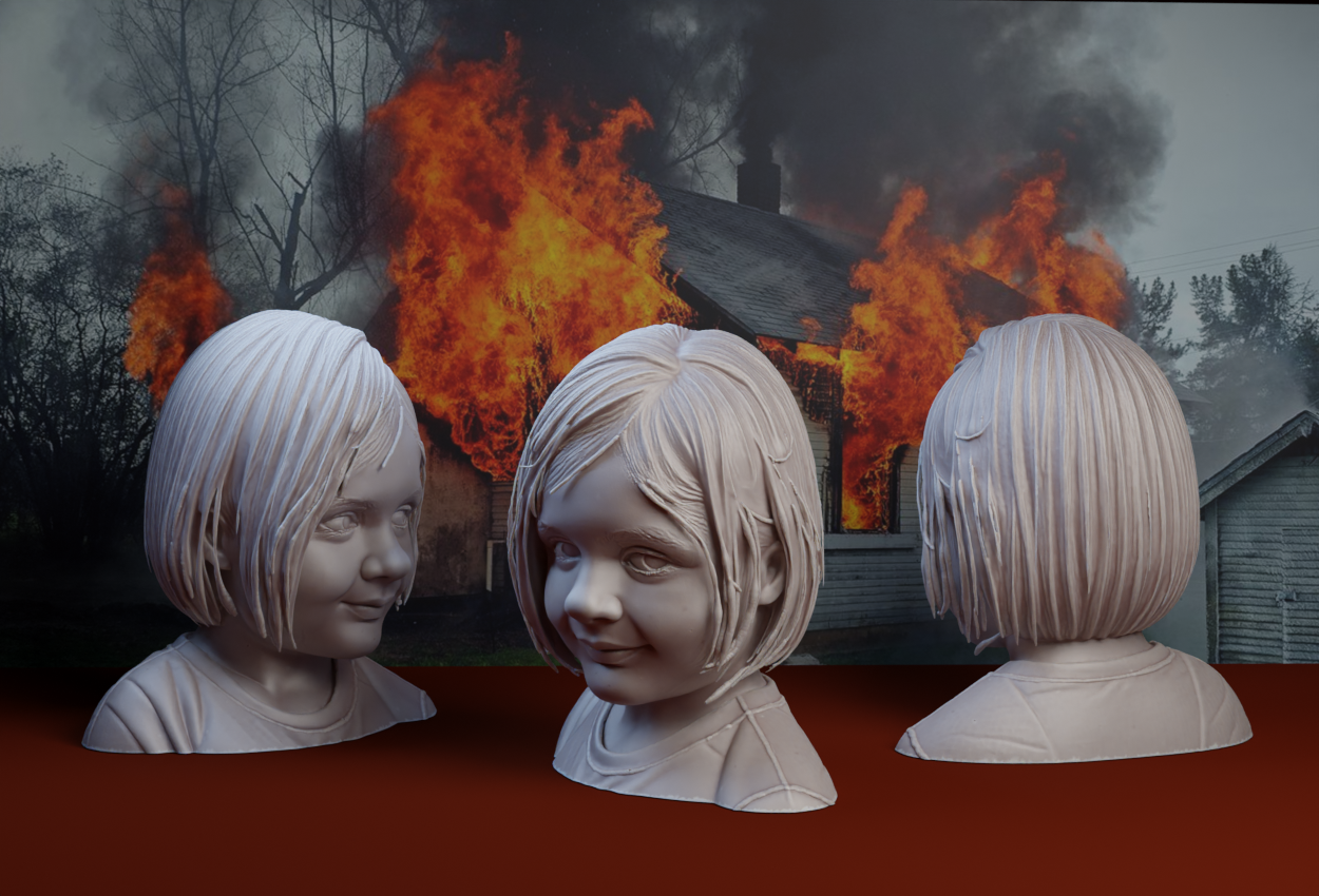 Disaster Girl Meme