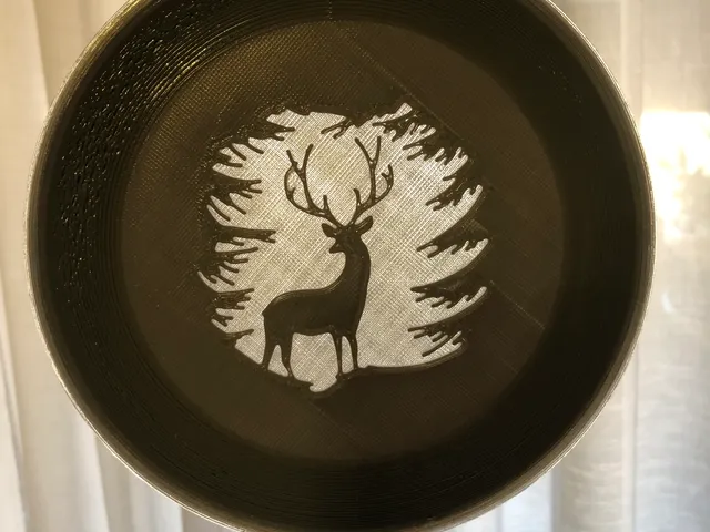 plate on the wall
