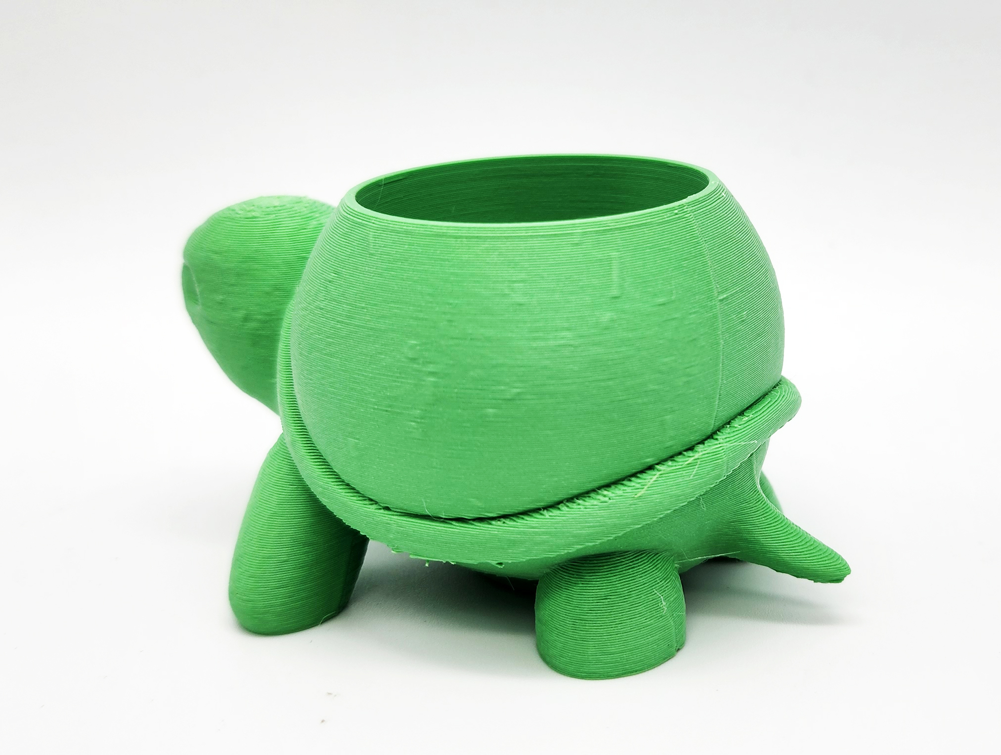 Miniatura 4 do modelo 3D Rounded Turtle Succulent Planter