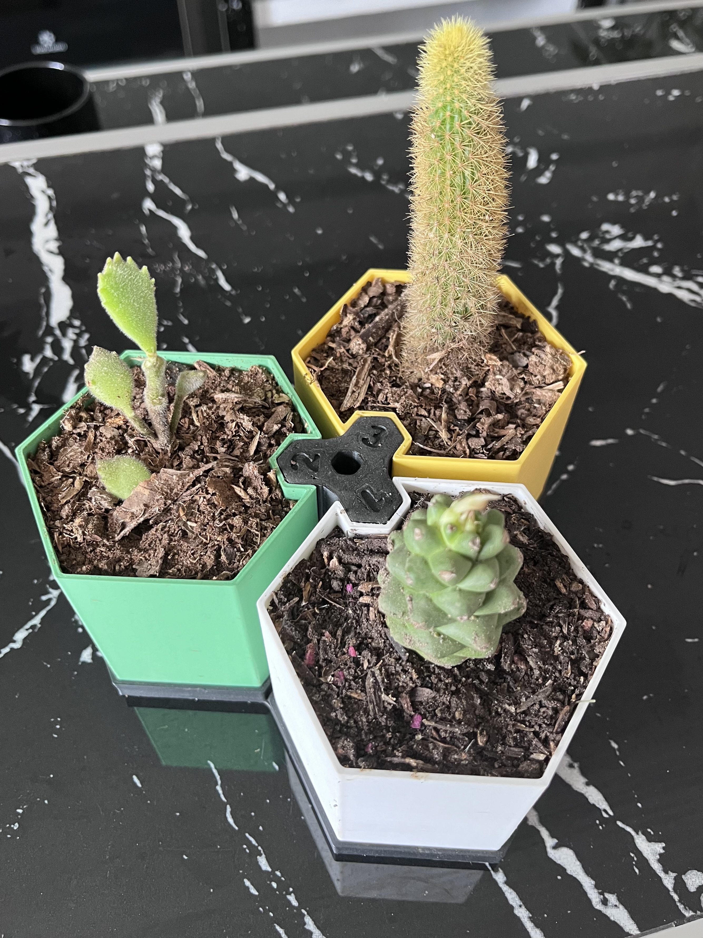 MACETAS EXAGONALES /  EXAGONAL POTS
