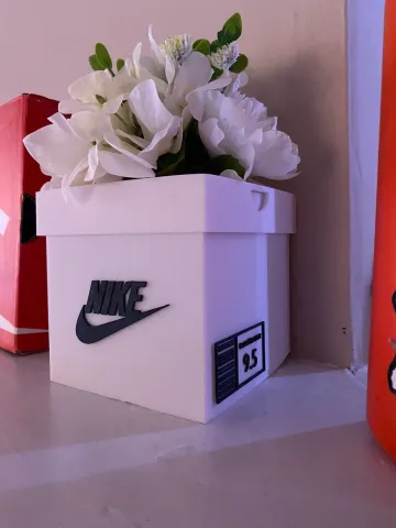 Nike Shoebox Planter