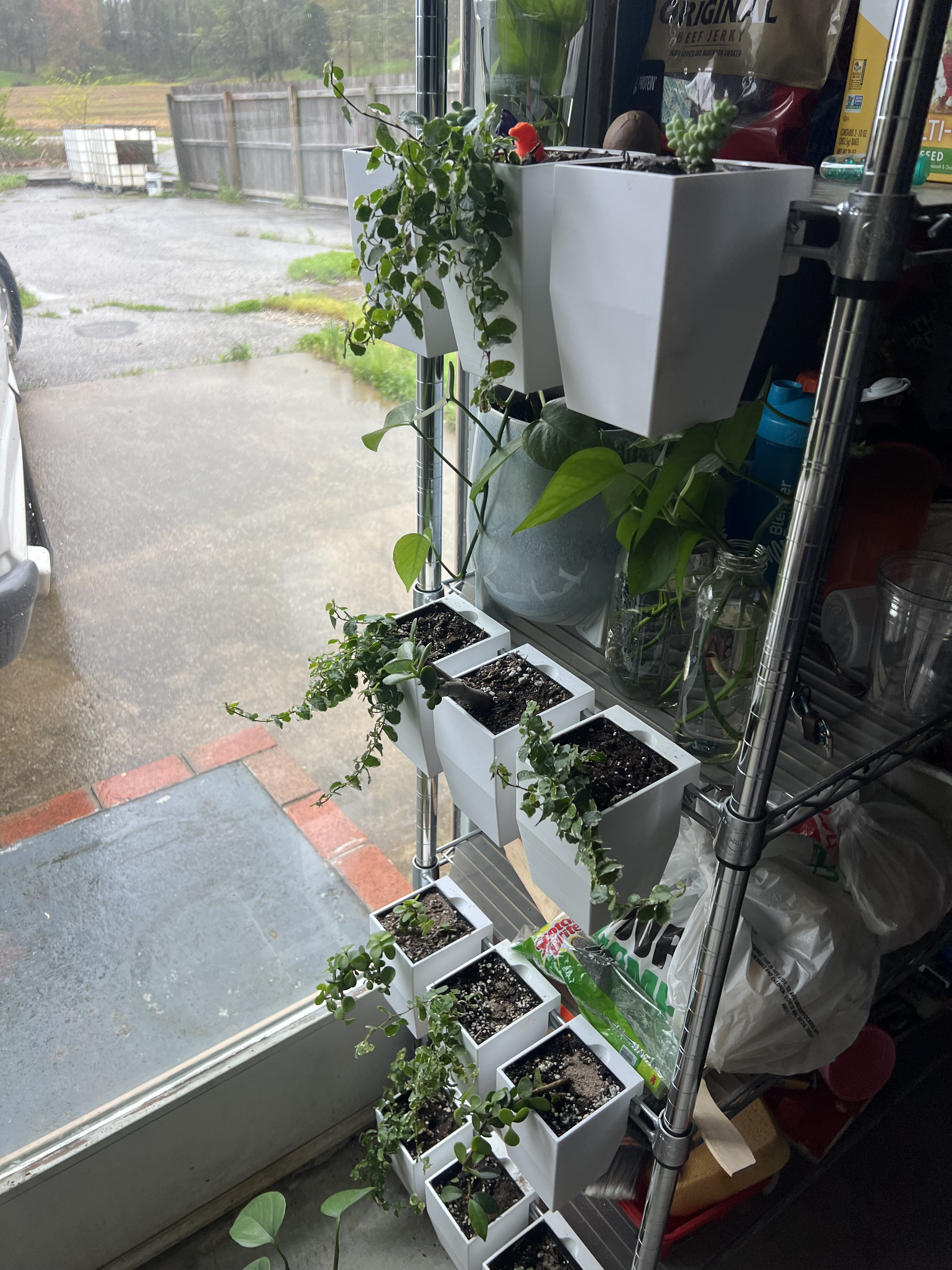 Wire Shelf Hanging Planter