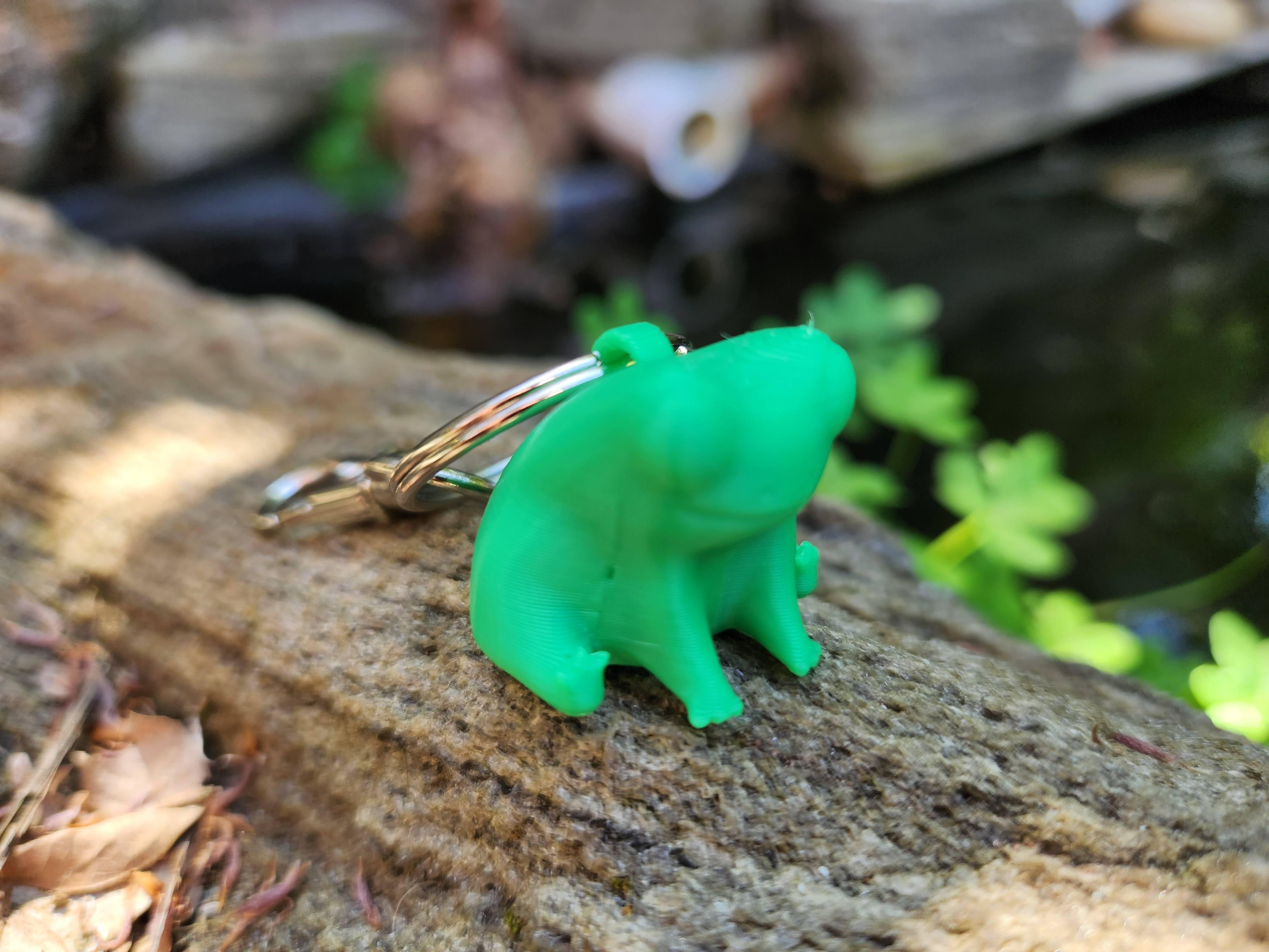 Fred the Frog Keychain by pratiklokesh5 | Download free STL model ...