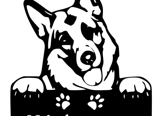 shepherd Welcome