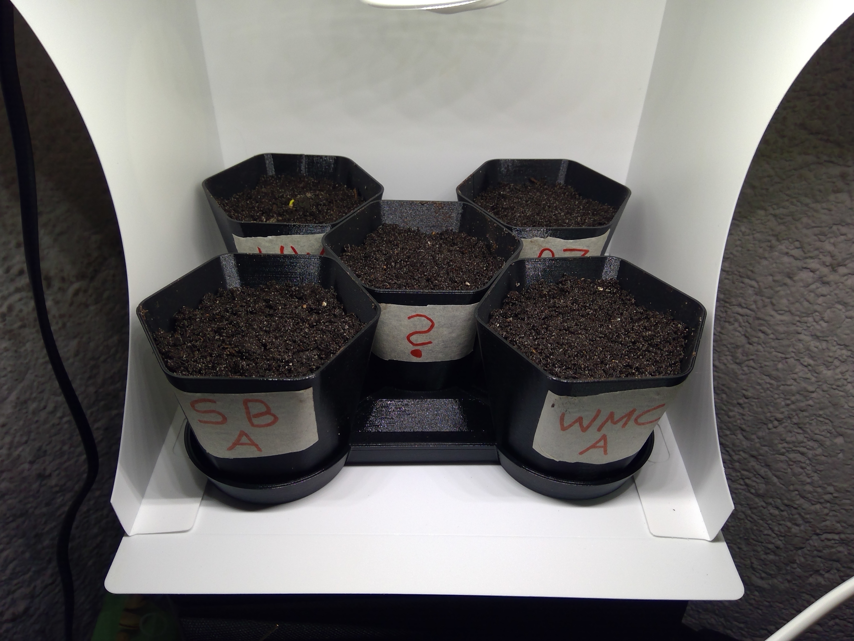 Small Planter Set