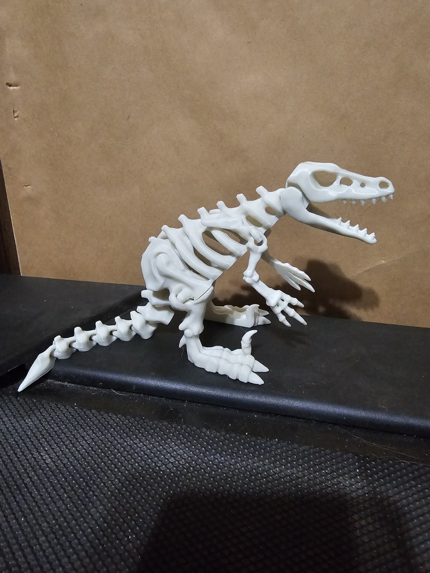 Articulated dinosaur skeleton 5