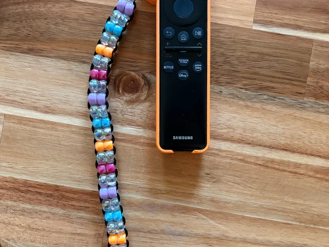 Samsung TV Remote Case