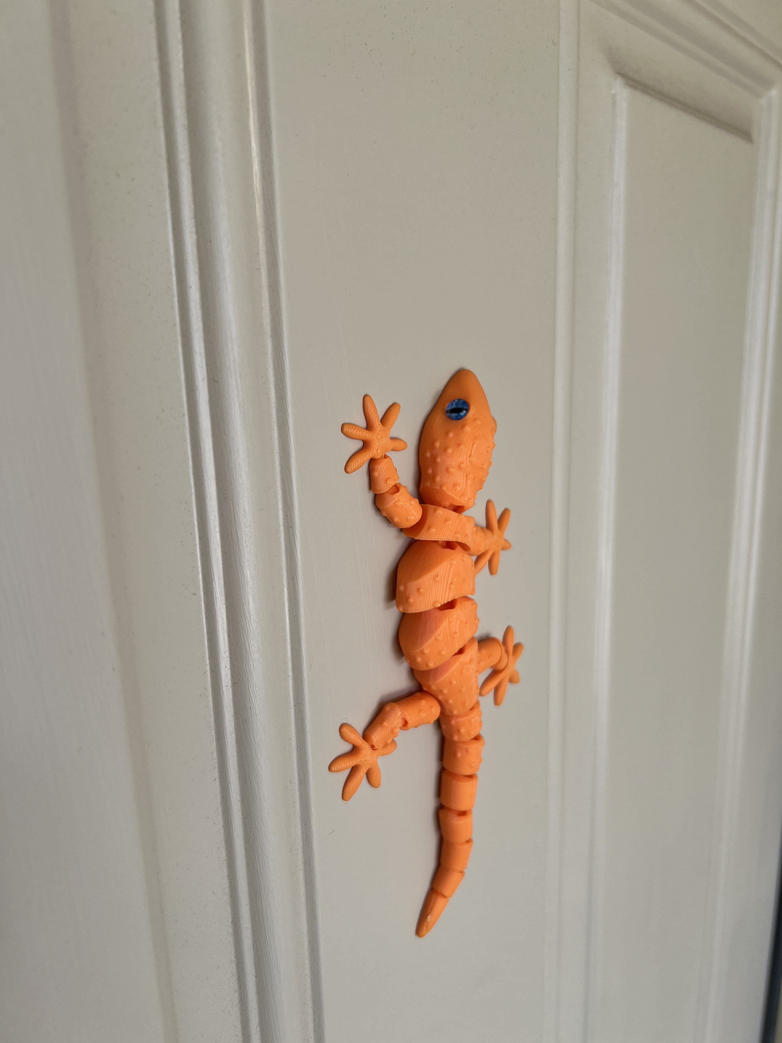 FDMJoint Mediterranean House Gecko - Updated
