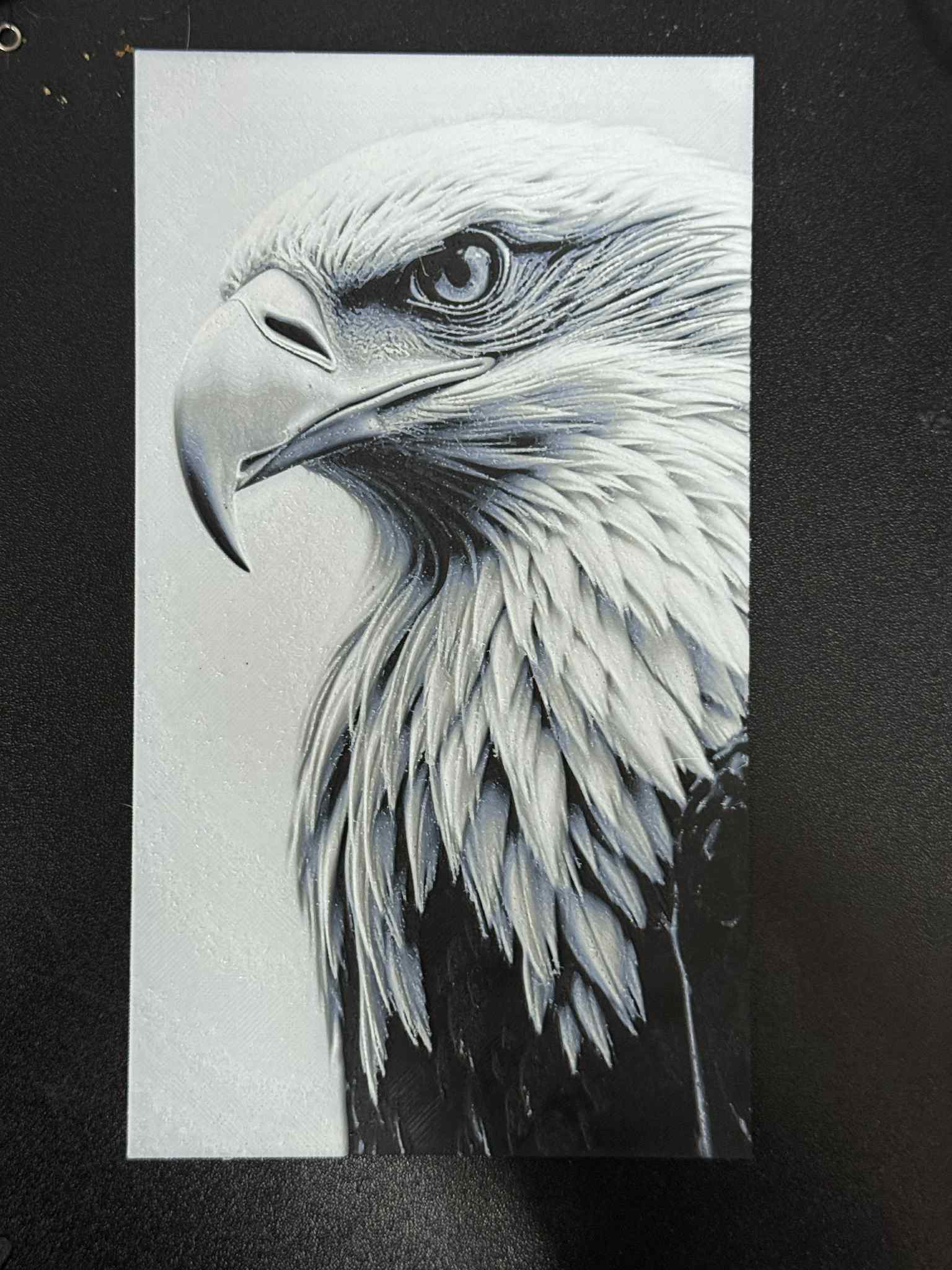 Bald Eagle