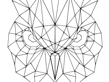 Geometric Owl