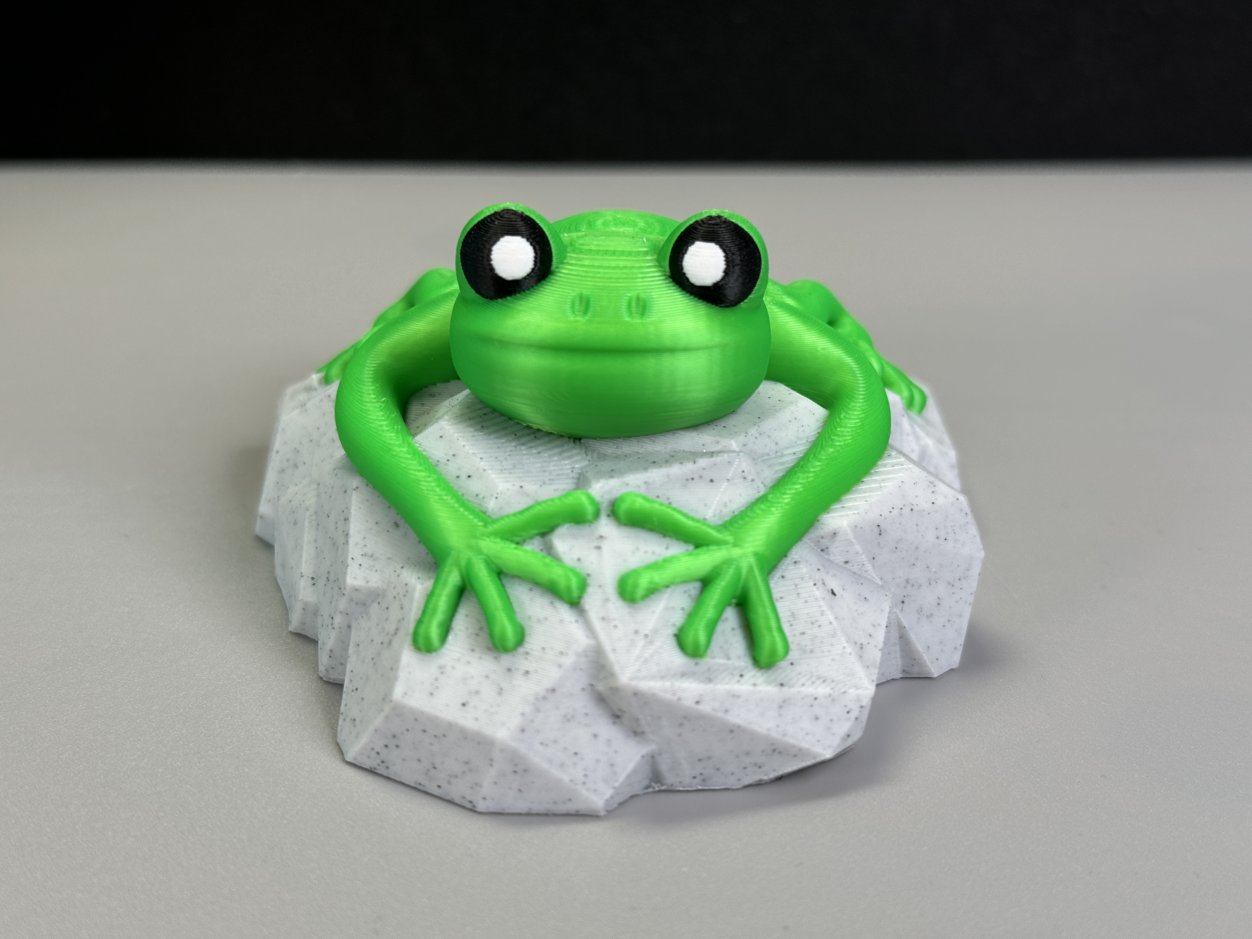 Frog on a stone