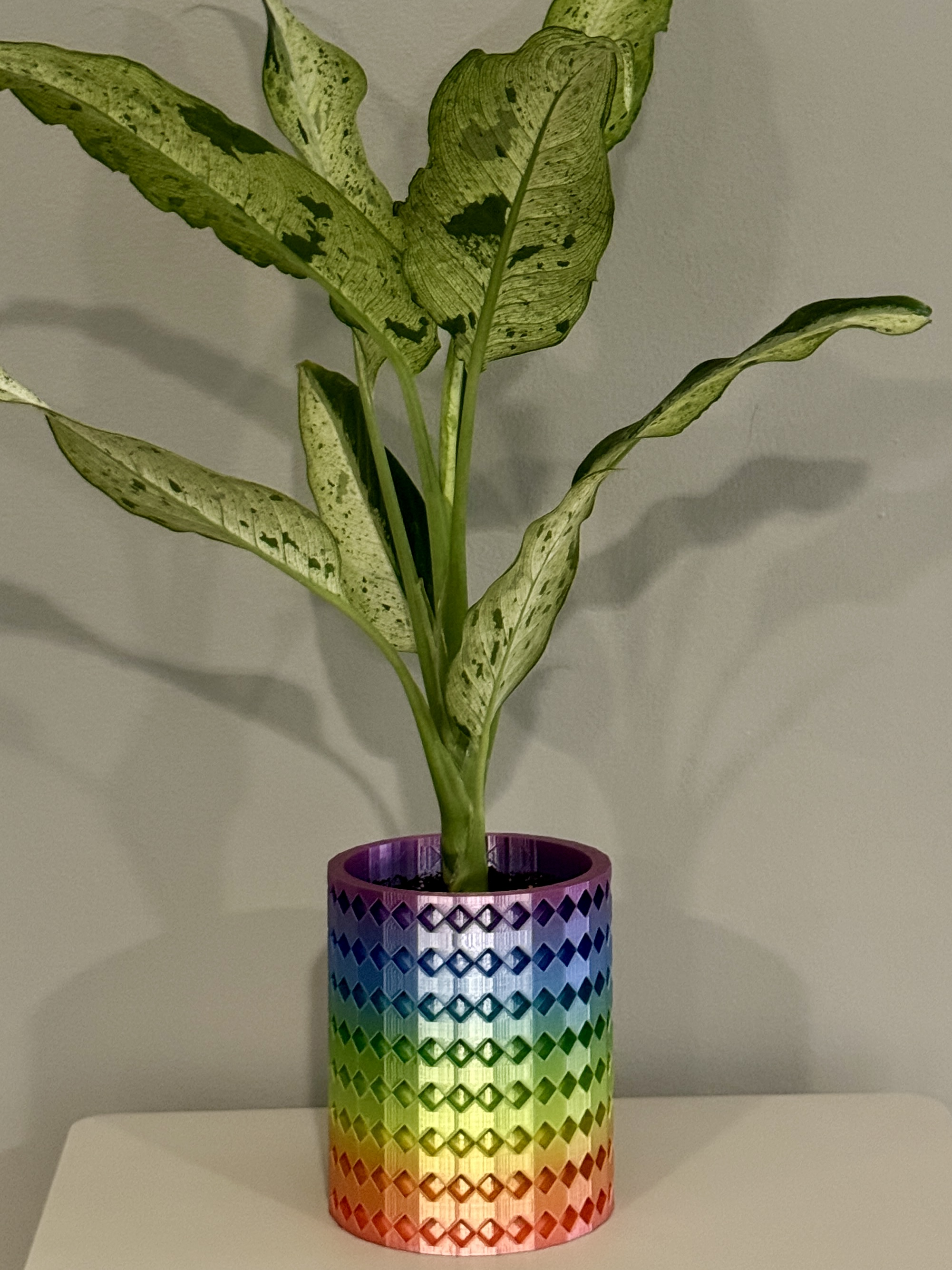 Argyle Planter