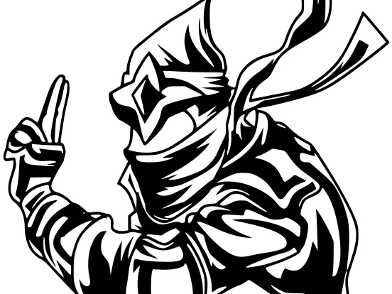 Ninja wall art