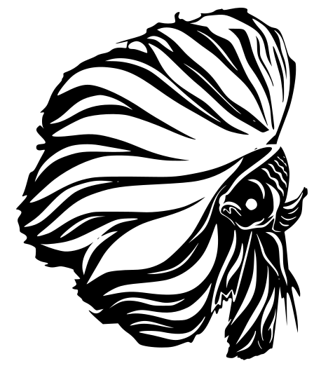 Betta Fish