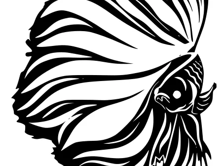 Betta Fish