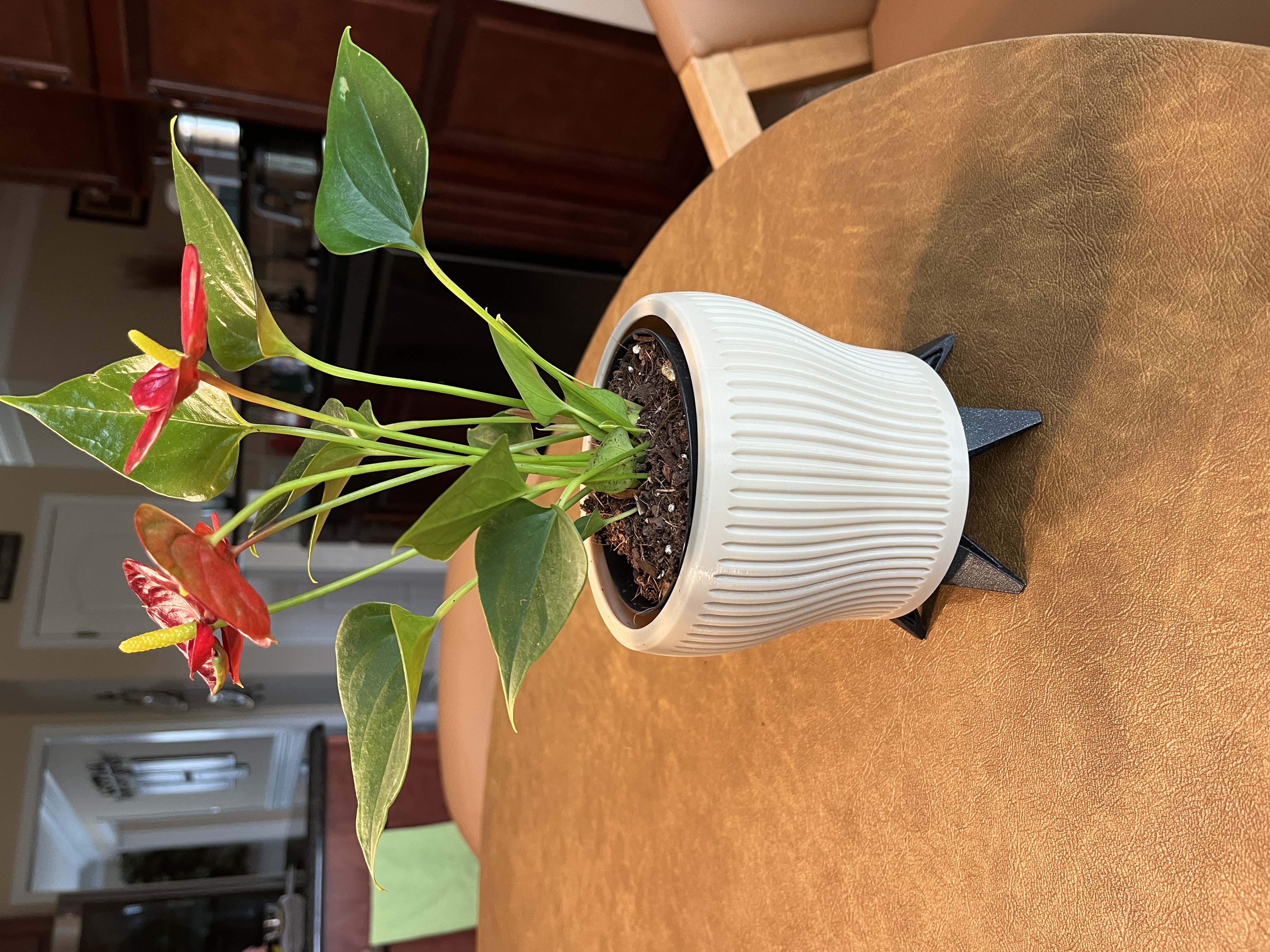 Planter with legs