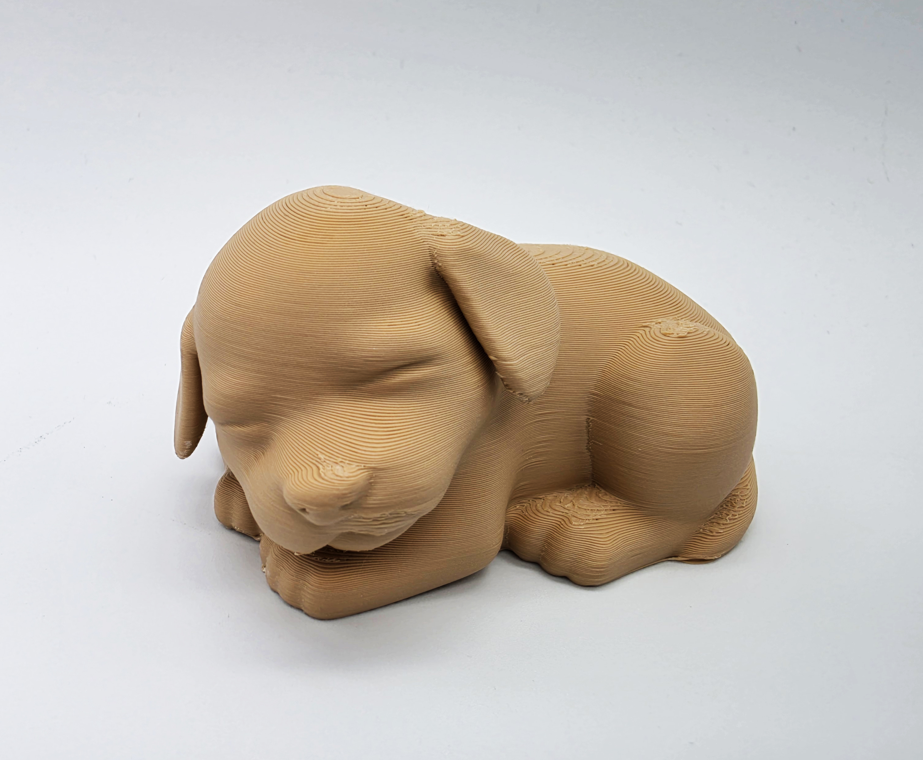 Sleeping Puppy 2