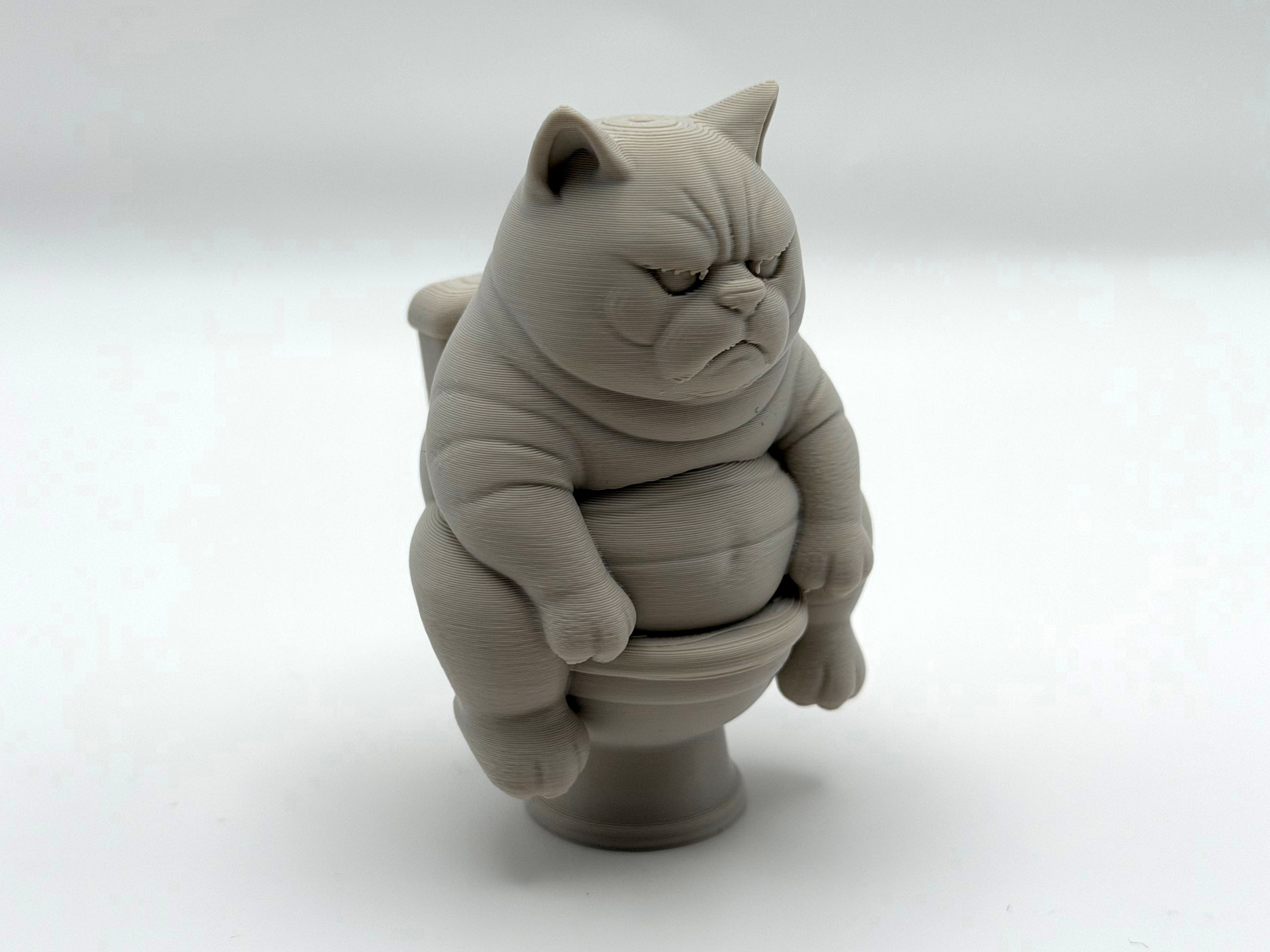 Grumpy Potty Kitten