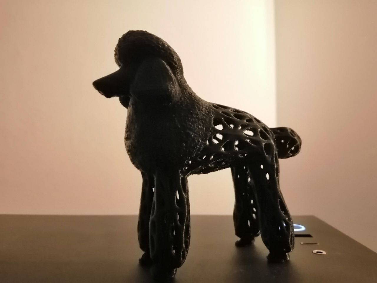 ´Hexe´ kaniş voronoi p (Sadece Plastik Aparattır!!!)