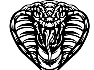 Cobra