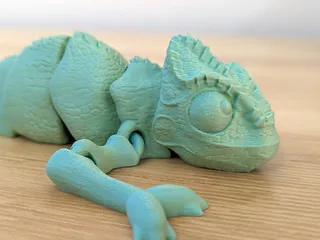 Lijin C. - Chameleon