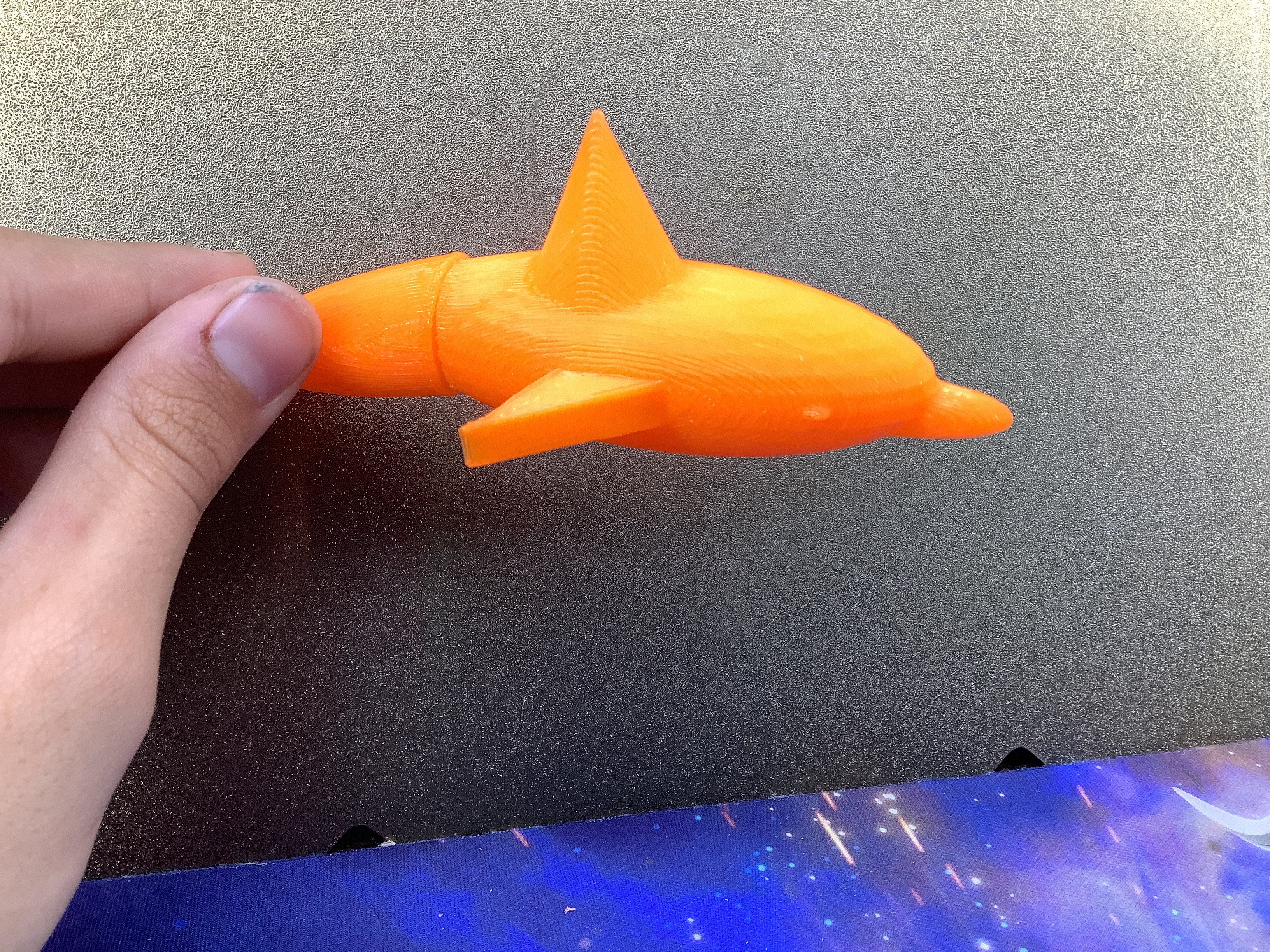 Flexi Dolphin