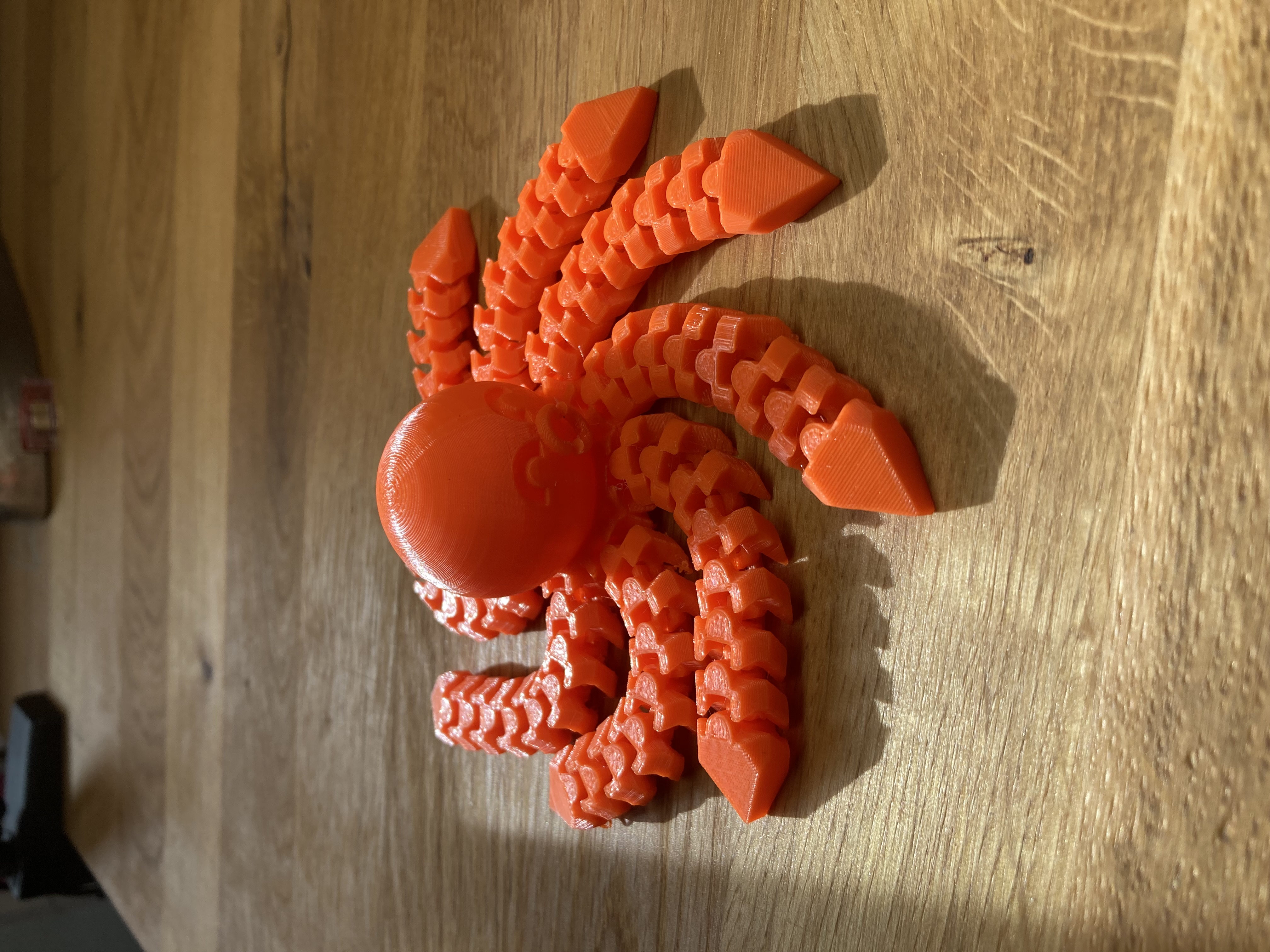 Süßer Oktopus(Flexi).
