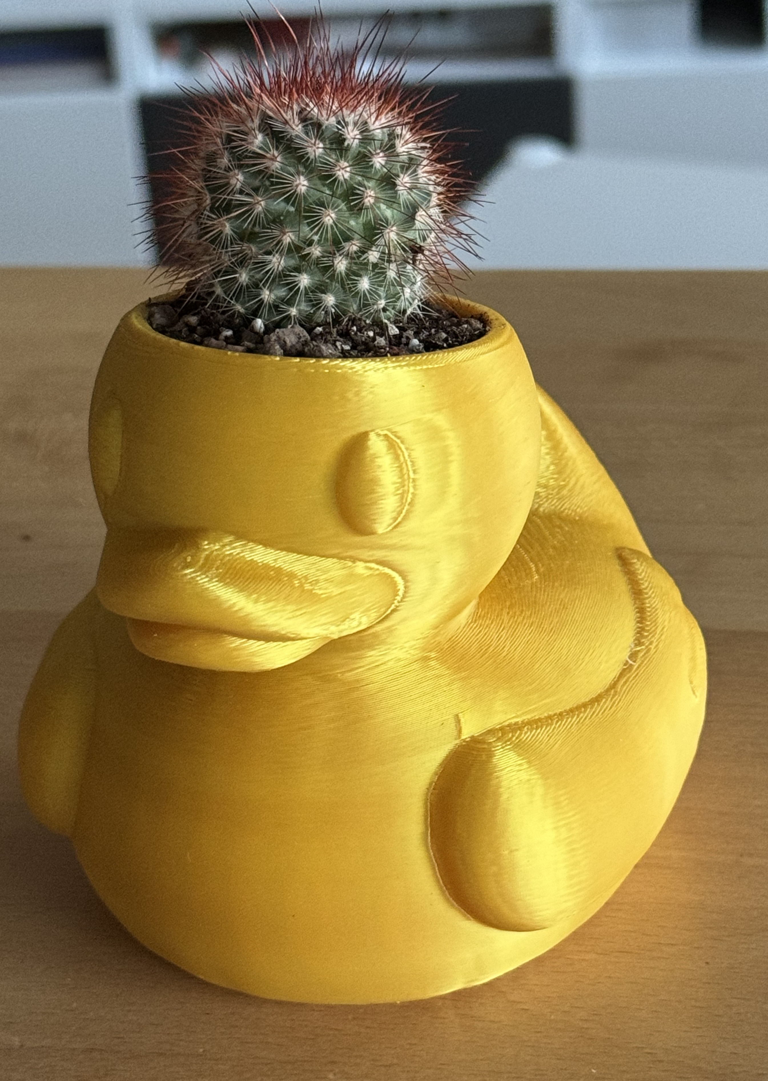 Rubber duck flowerpot